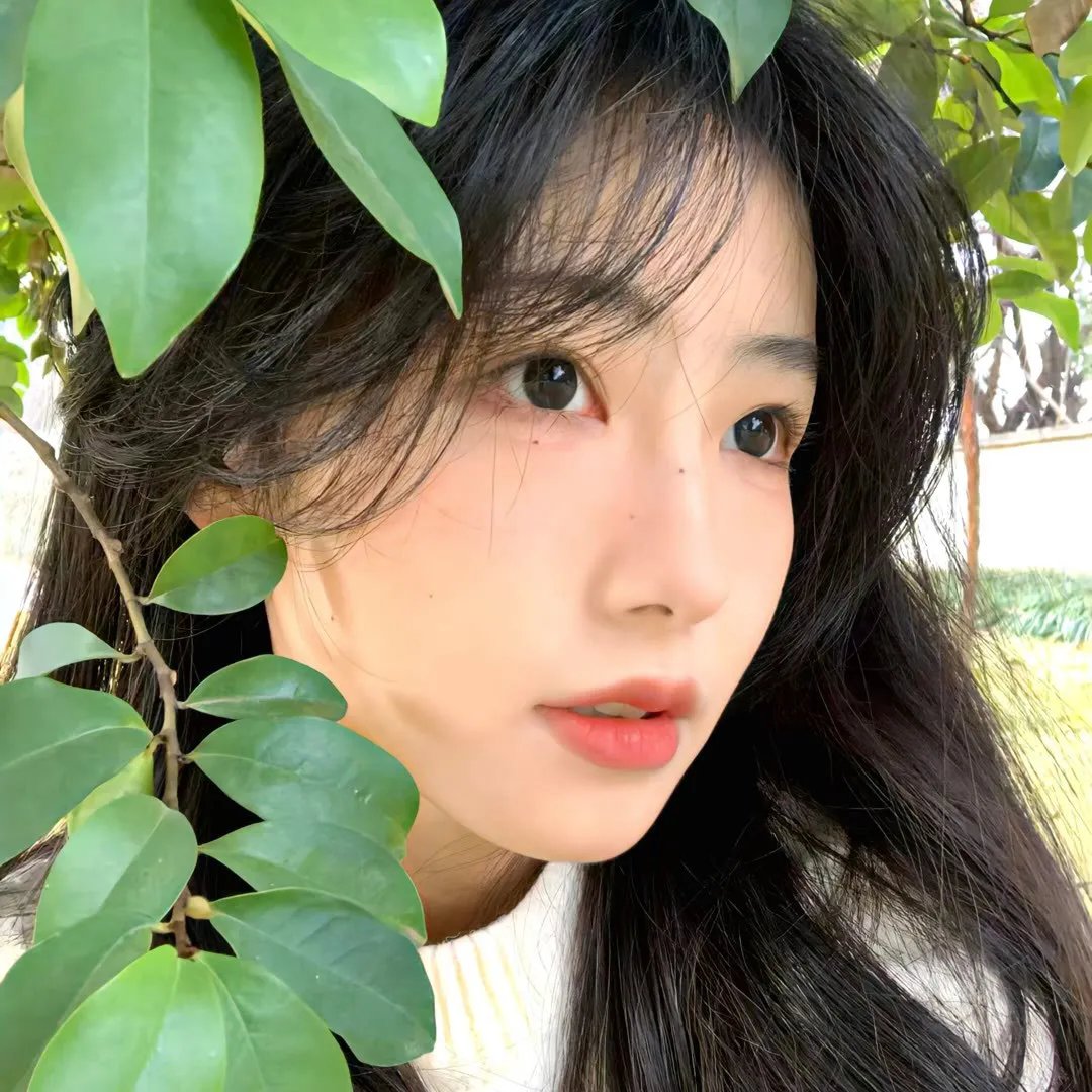 看，贝多芬
